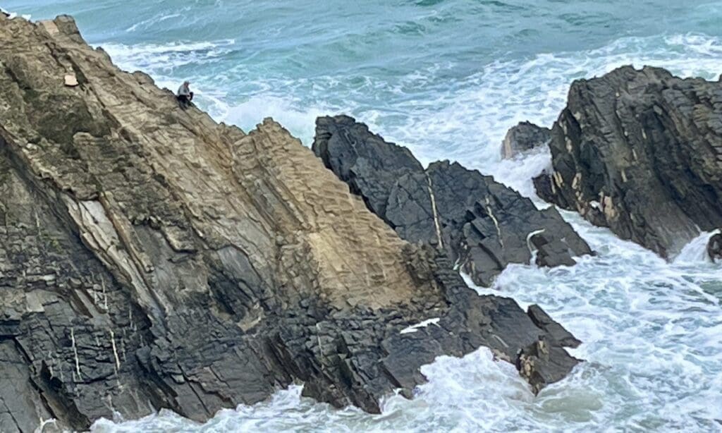 Zambujeira do Mar-Visser