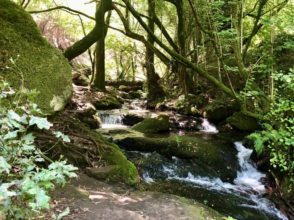 Ruta de Pedra y Agua