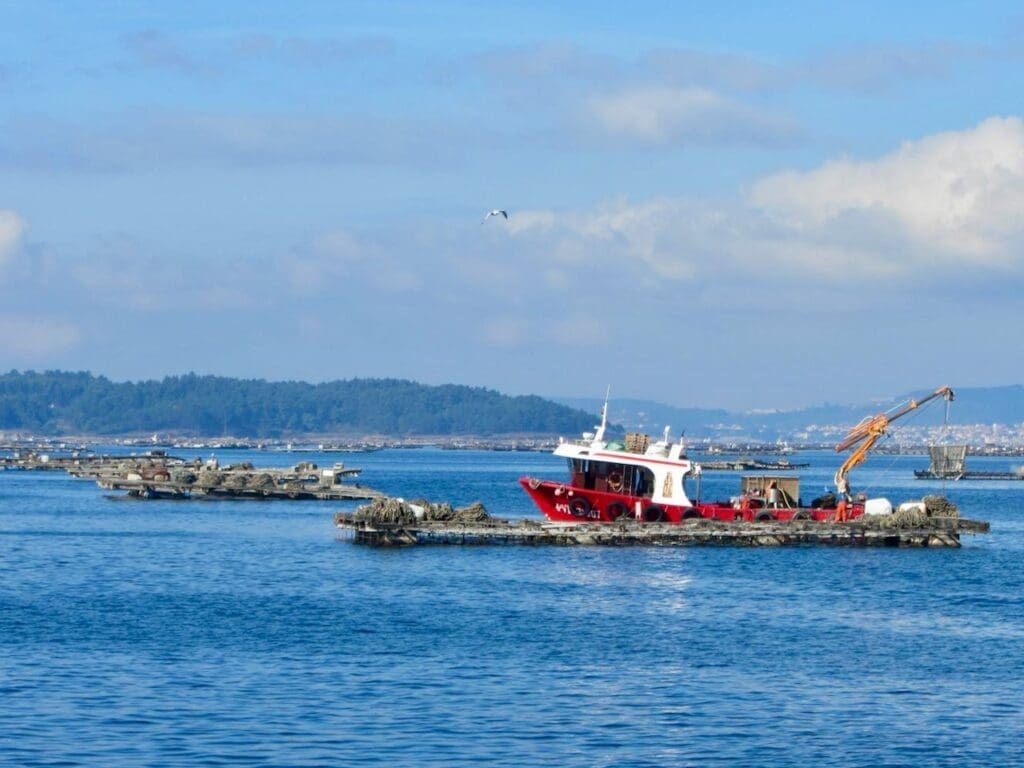 Drijvende oester- en mossel kwekerijen in de Ría de Arousa