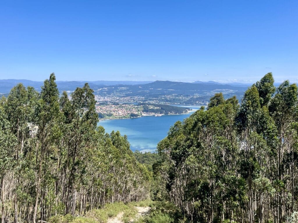 Miradoiro do Loureiro