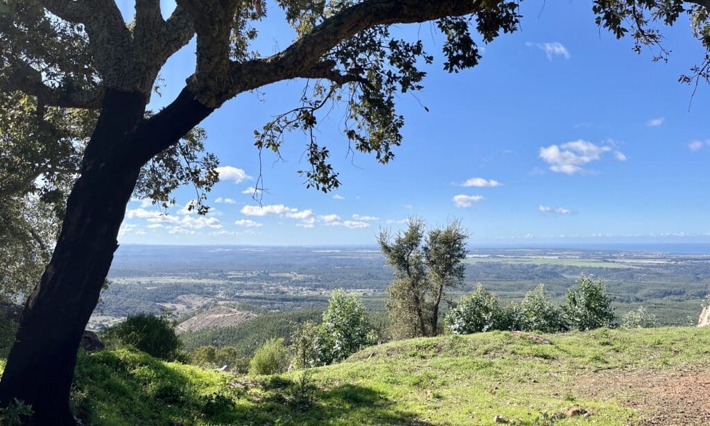 São Domingos (324 m) Historische route richting Cercal